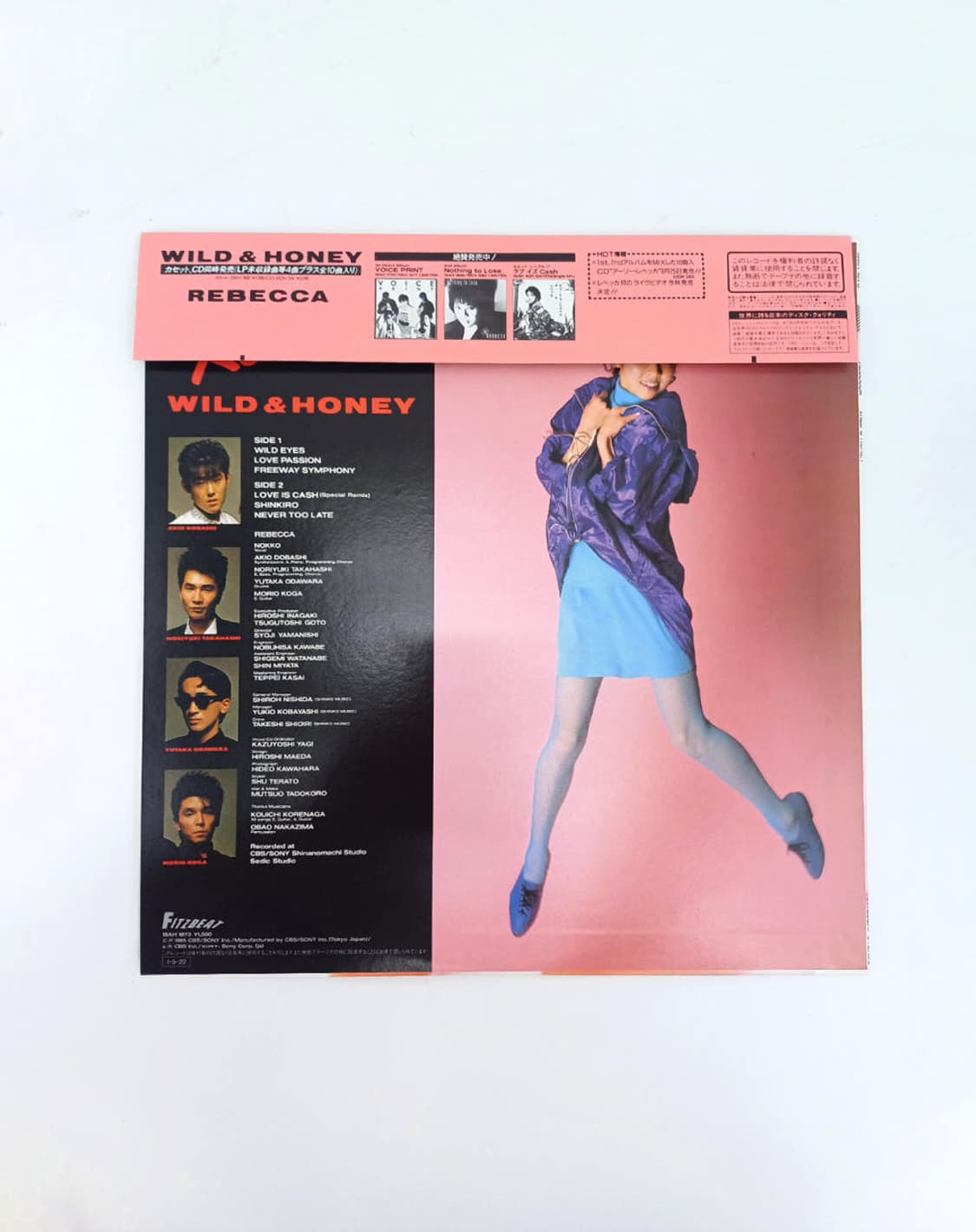 REBECCA WILDHONEY 80년대 뉴웨이브 시티팝 lp 엘피 상품이미지2
