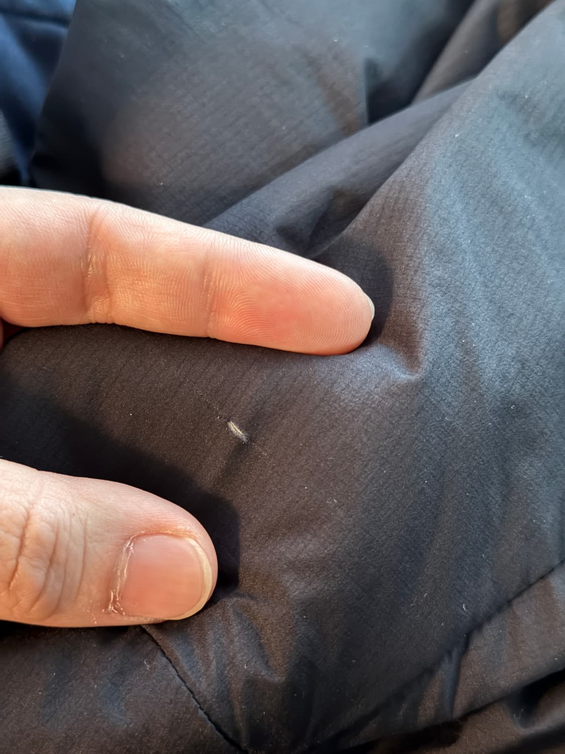 아크테릭스 아톰 후디 블랙 M 상품이미지10