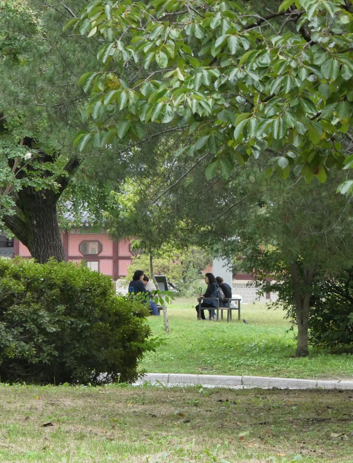 파나소닉 루믹스 DC-TZ99 (작례o) 상품이미지7