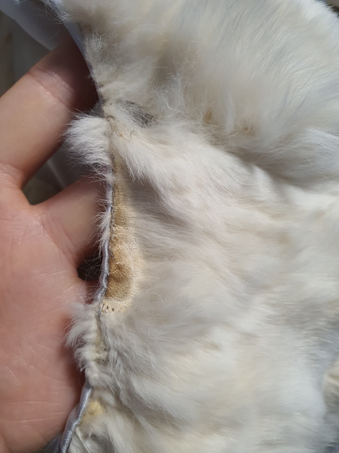 [갸루] 아이보리 퍼 베스트 레이스 장식 여우털 토끼털 상품이미지5