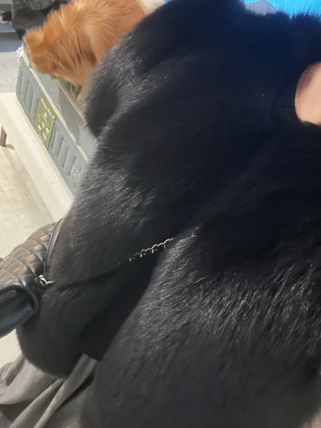 사가폭스 캡소매 통폭스 블랙 최상급버전 상품이미지7