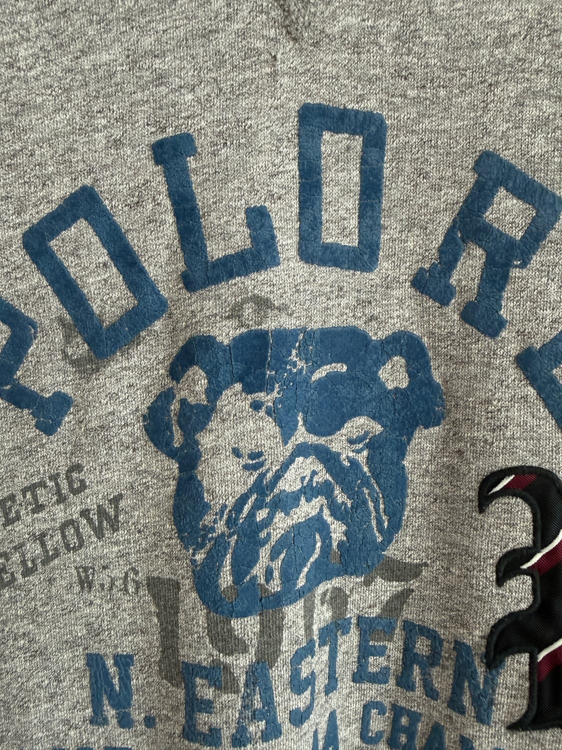 폴로 랄프로렌(Polo Ralph Lauren) 스웻 맨투맨(큐알인증) 상품이미지4