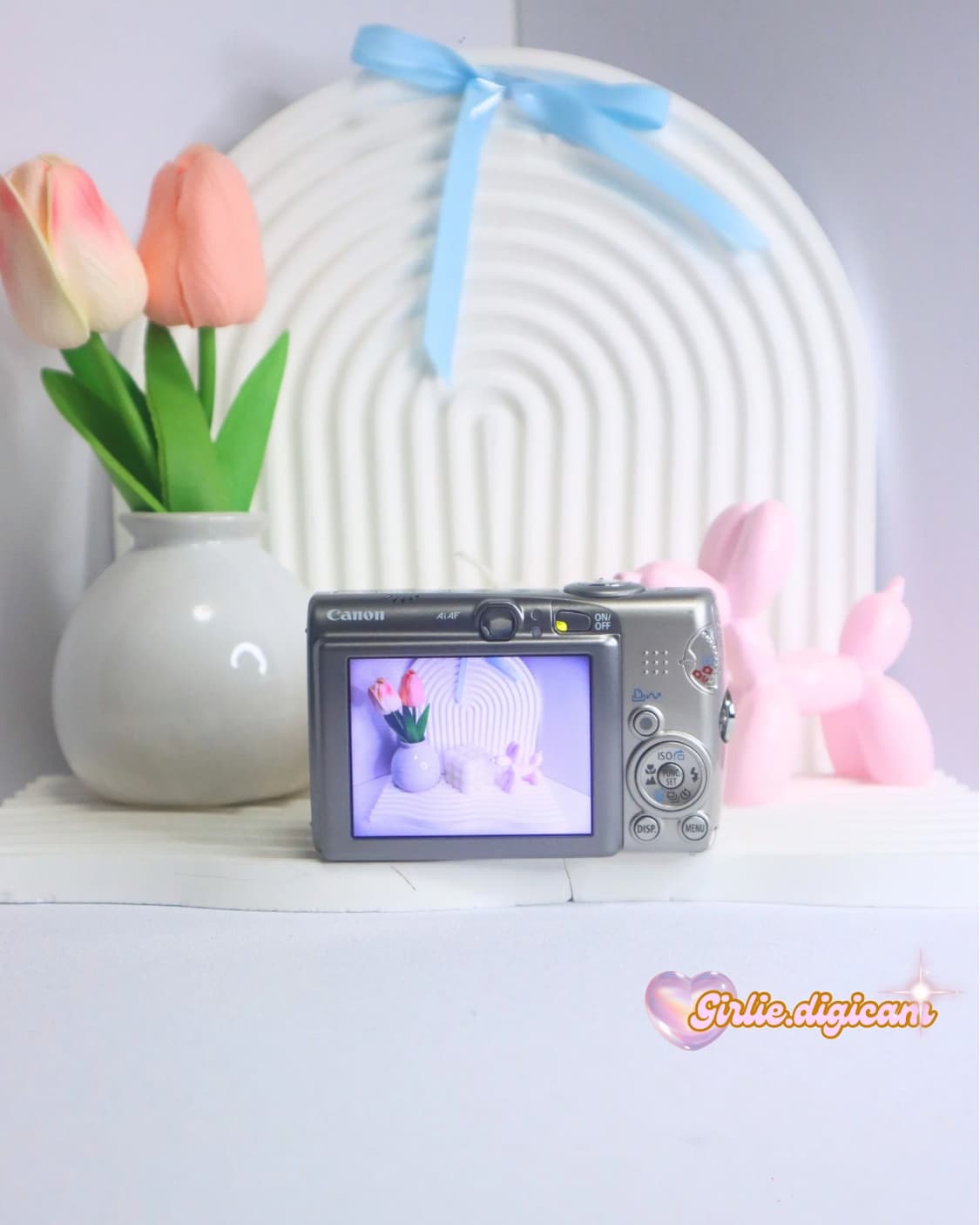 토모토모의픽!))  캐논 익서스950is/익시 810is 상품이미지6