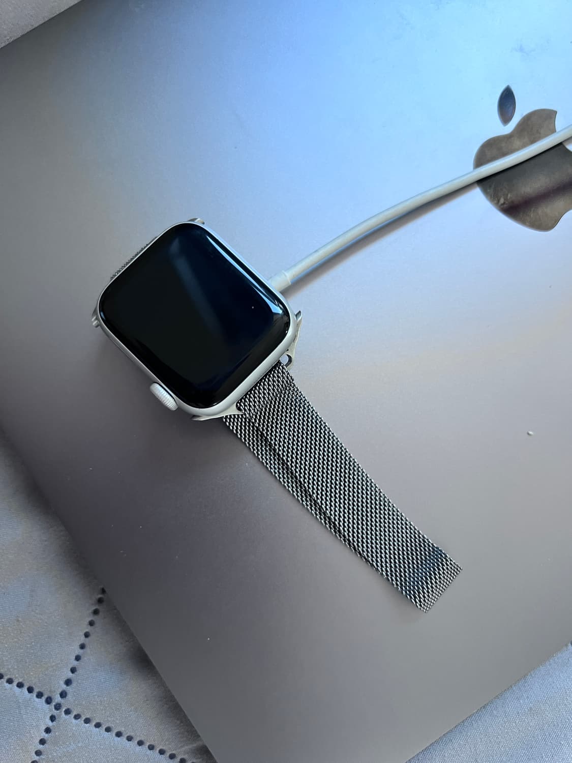 애플워치 se1 40mm실버 GPS(줄포함) 상품이미지1