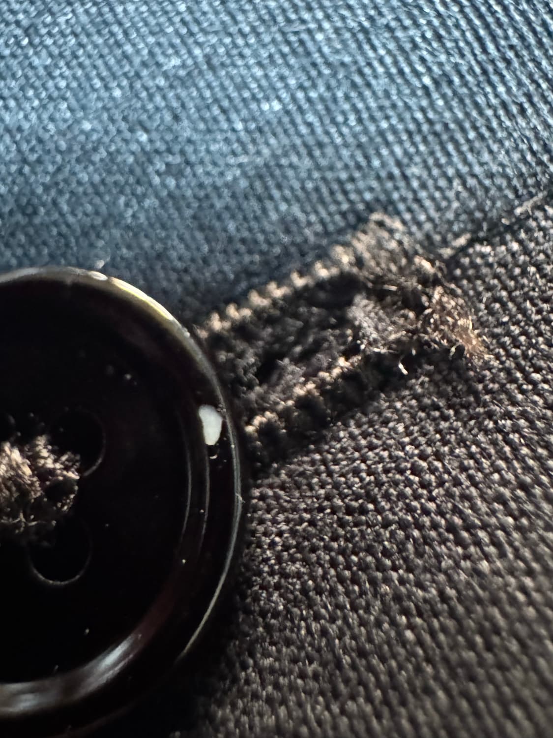 르메르 레귤러 칼라 트위스트 셔츠 블랙(캐비어) 50 상품이미지4