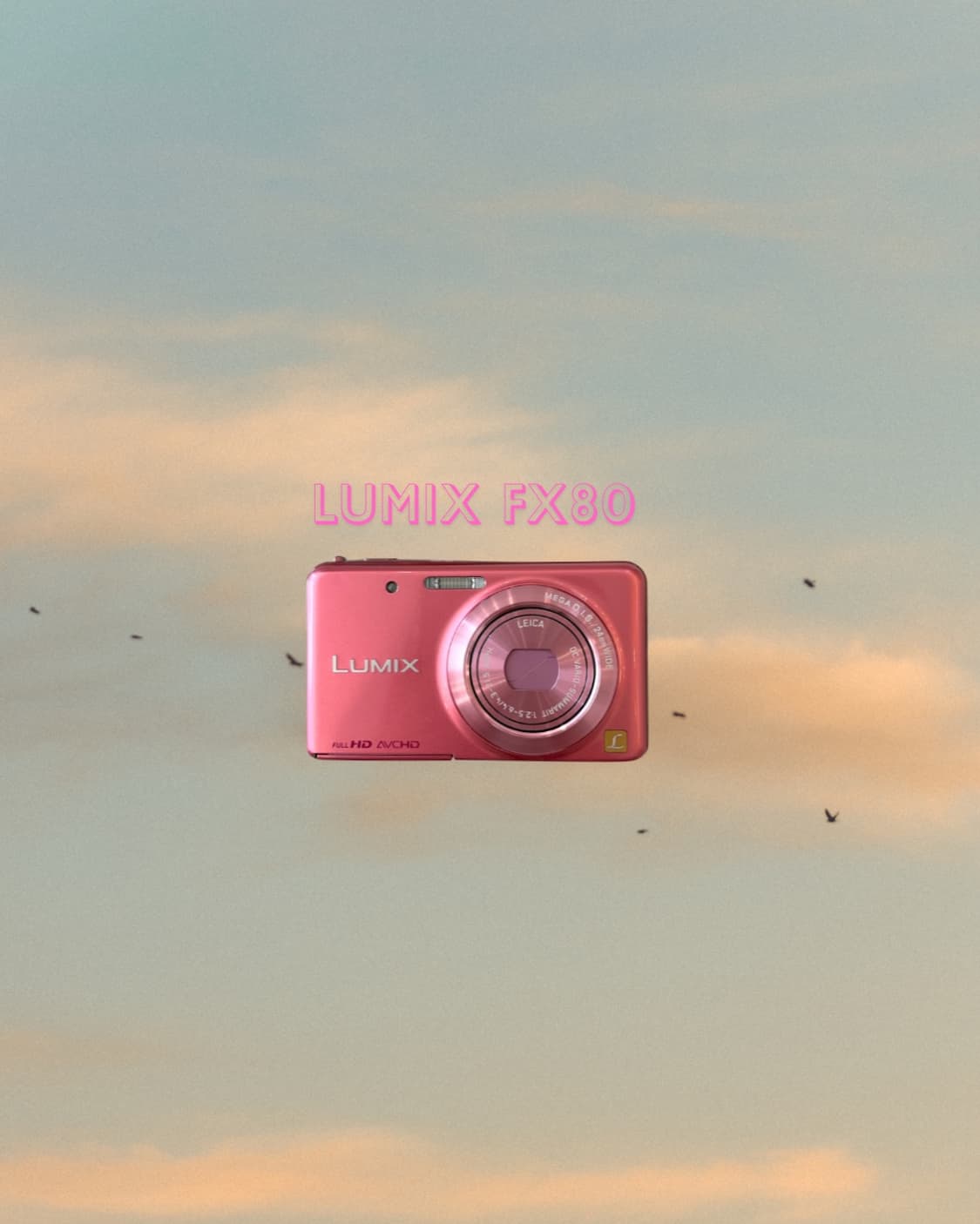 파나소닉 루믹스 FX80 / (Panasonic Lumix DMC-FX8 상품이미지1