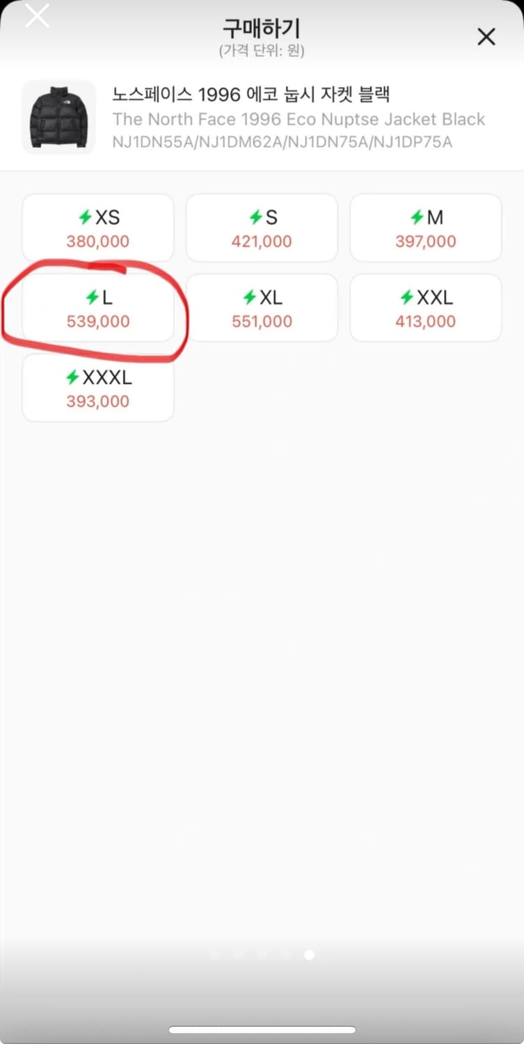 노스페이스 1996에코 눕시 자켓 상품이미지5
