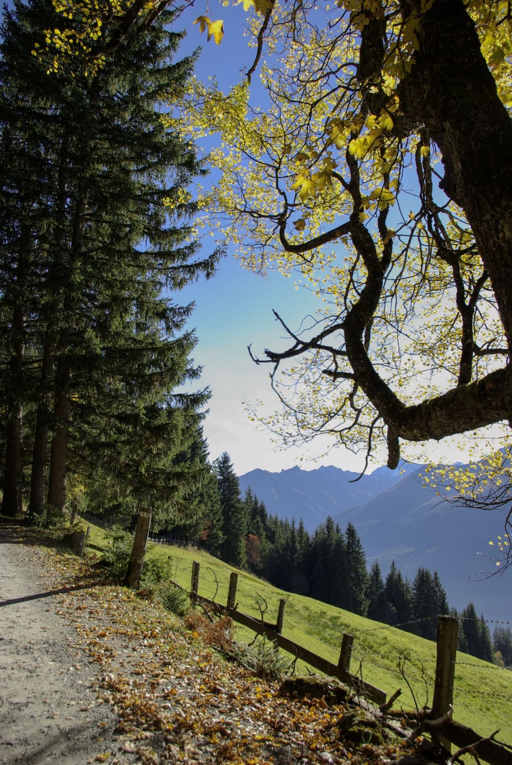 작례O 삼성 gx 10 단렌즈 줌렌즈 세트 디지털카메라 빈티지 디카 상품이미지2