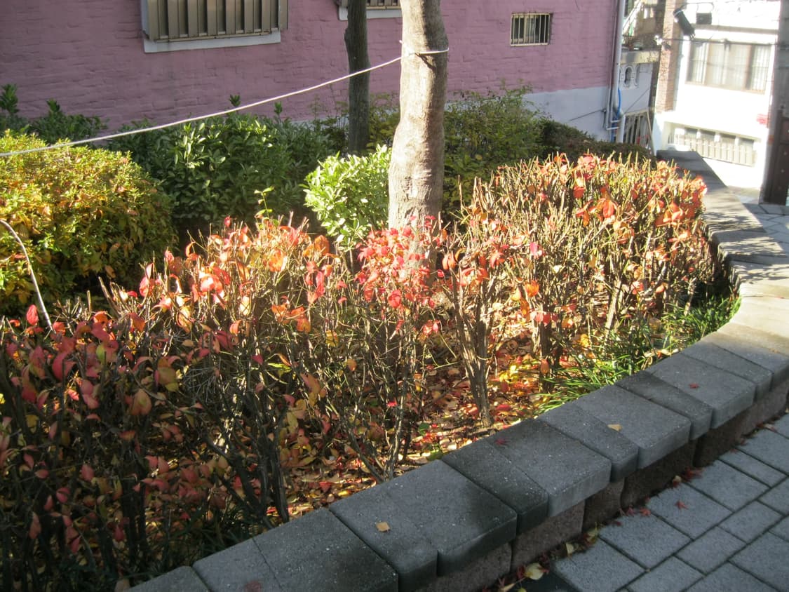 캐논 파워샷 a3000is 디카 (빈티지 카메라) 상품이미지9