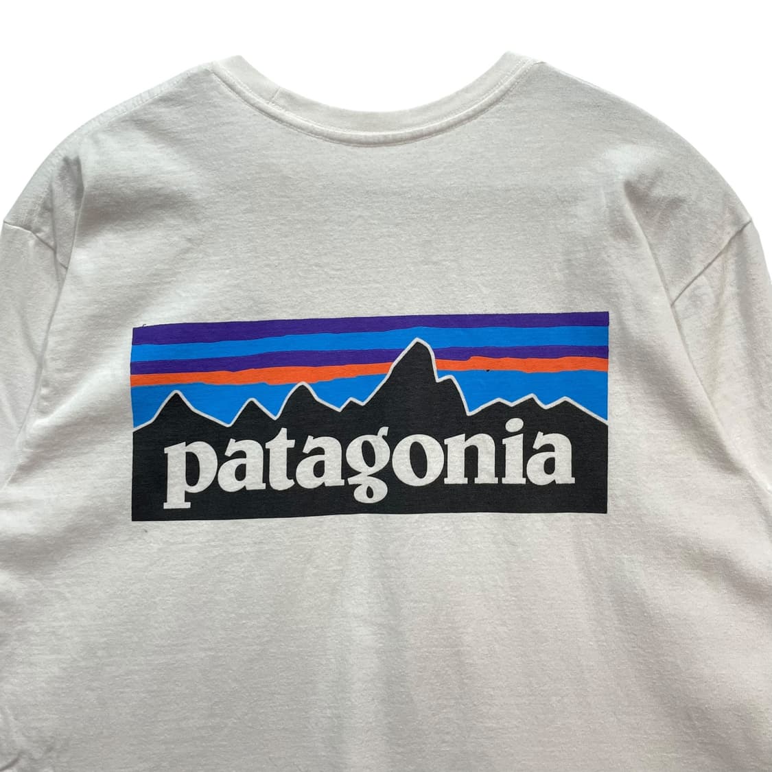 Patagonia Logo Tee 상품이미지7