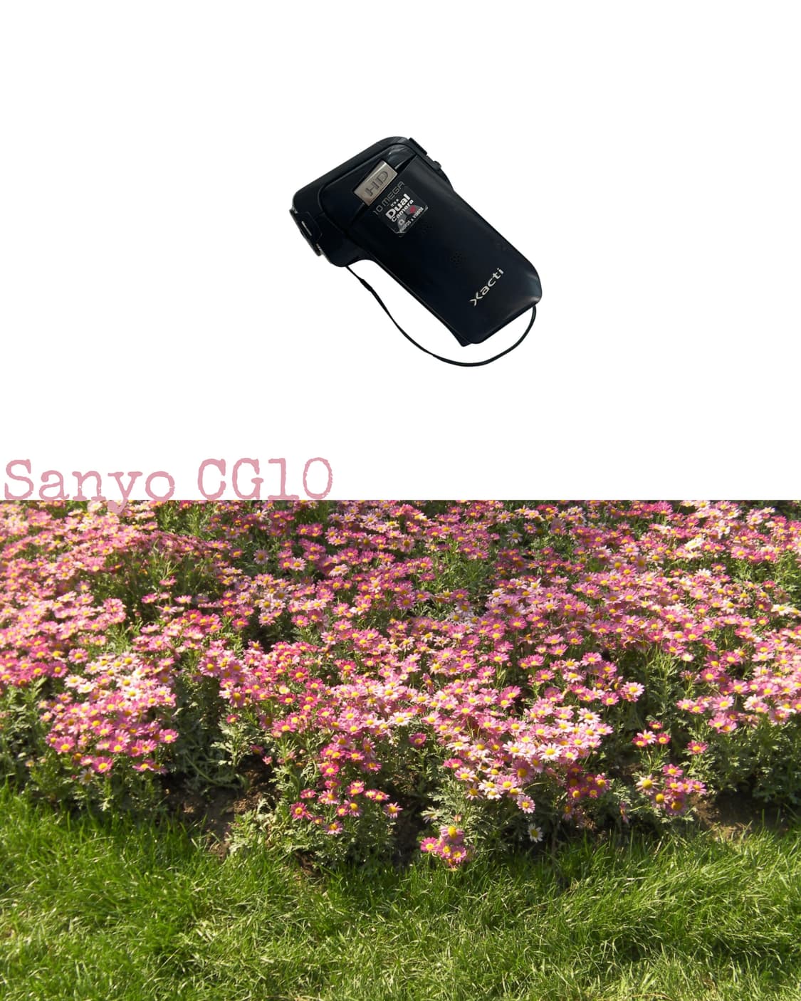 Sanyo CG10 상품이미지1
