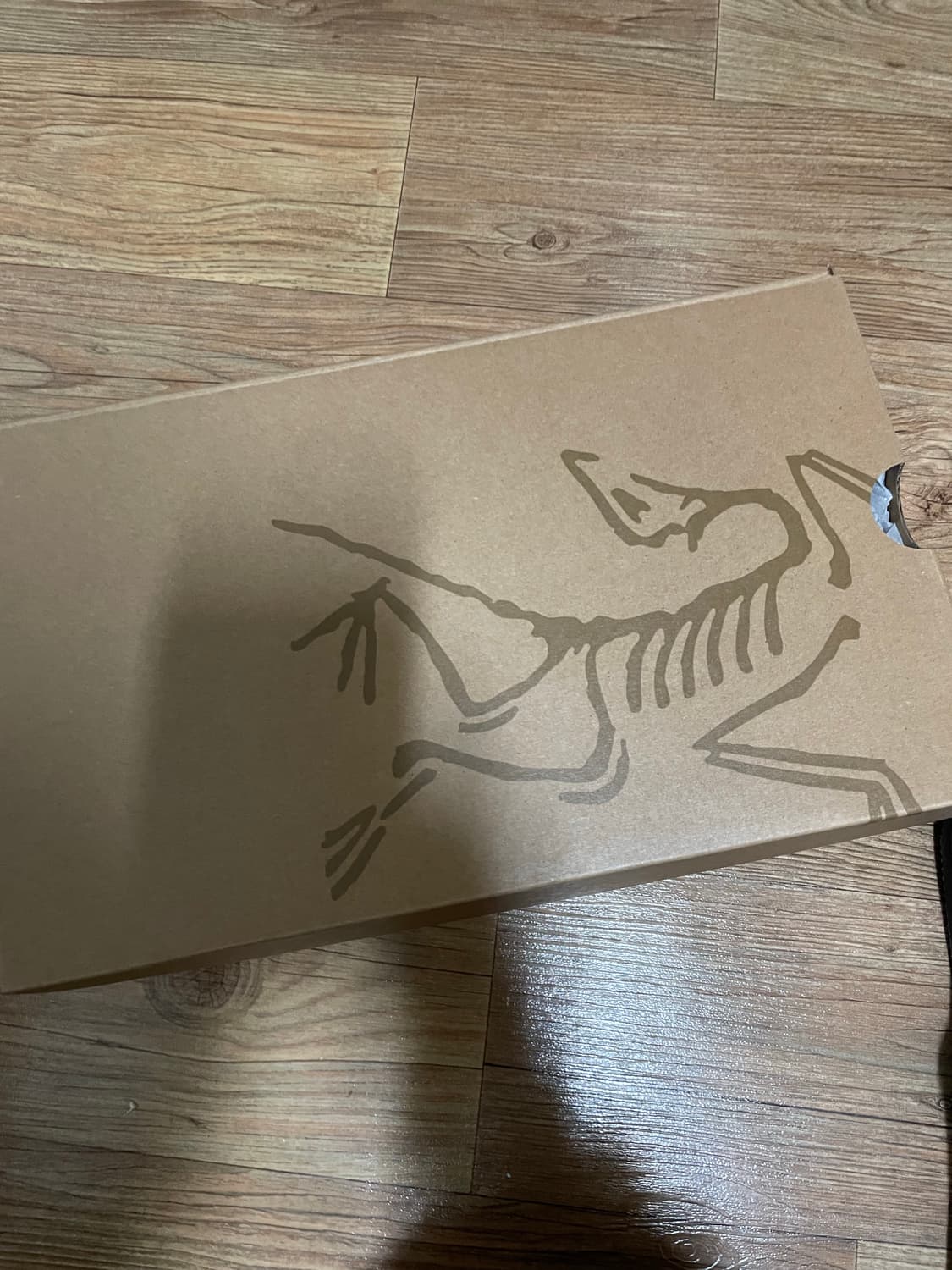 아크테릭스 크래그 265 상품이미지3