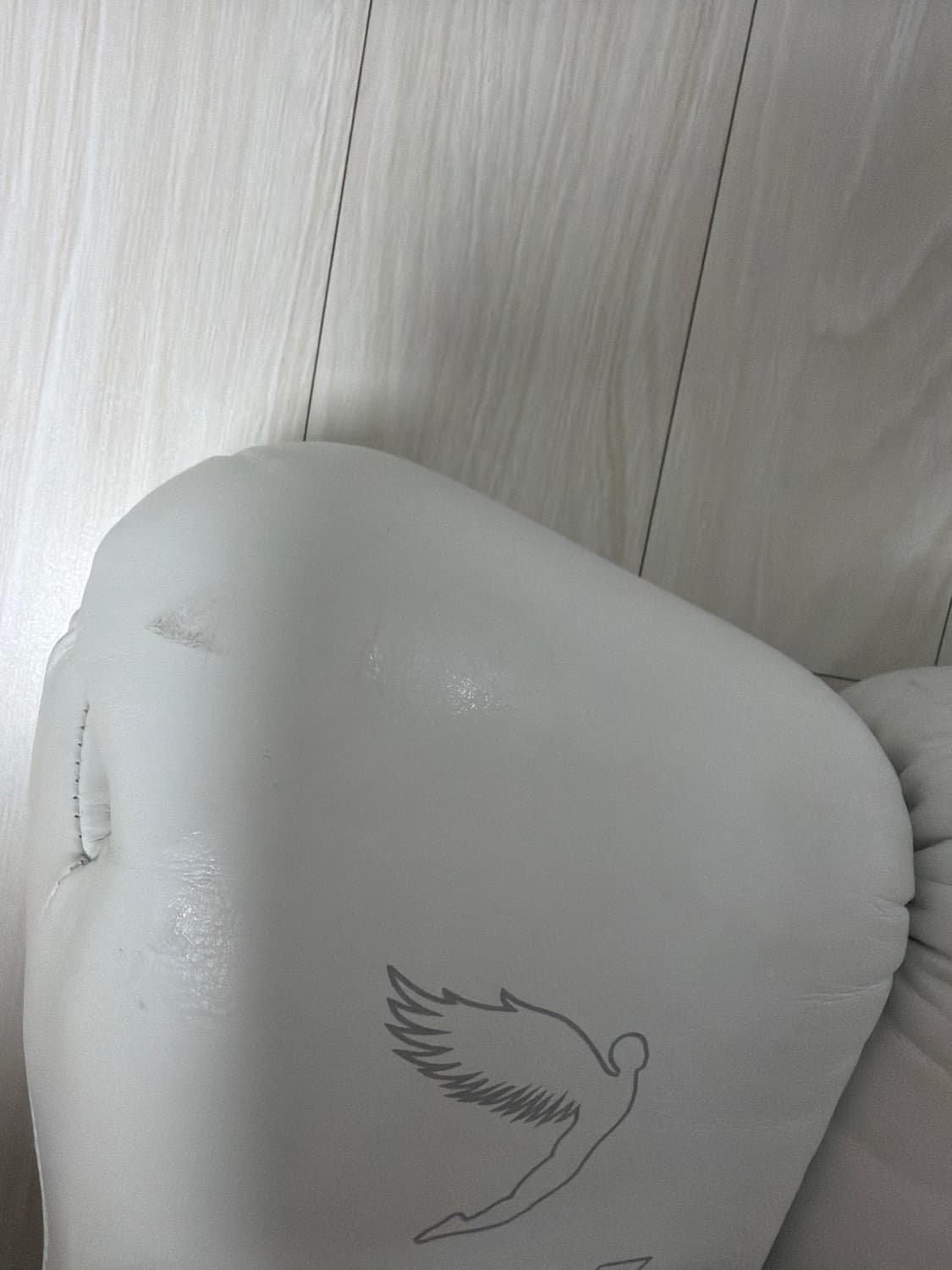 플라이X라인 복싱글러브 14oz 벨크로/ 화이트 상품이미지2