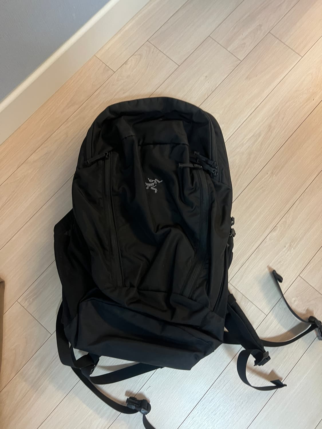 아크테릭스 백팩 상품이미지1