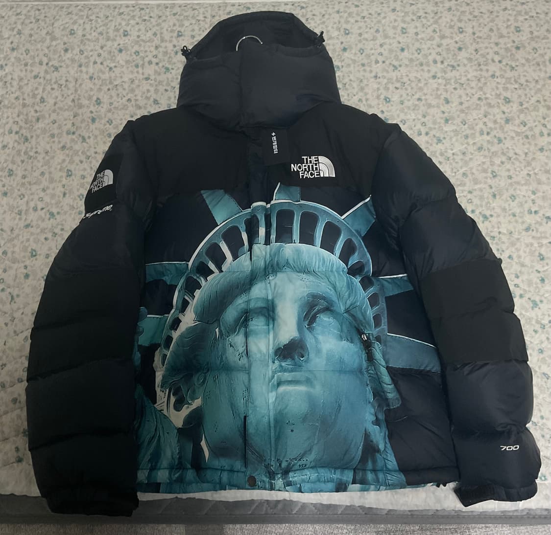 슈프림 x 노스페이스 자유의 여신상 발토로 패딩 M 상품이미지4