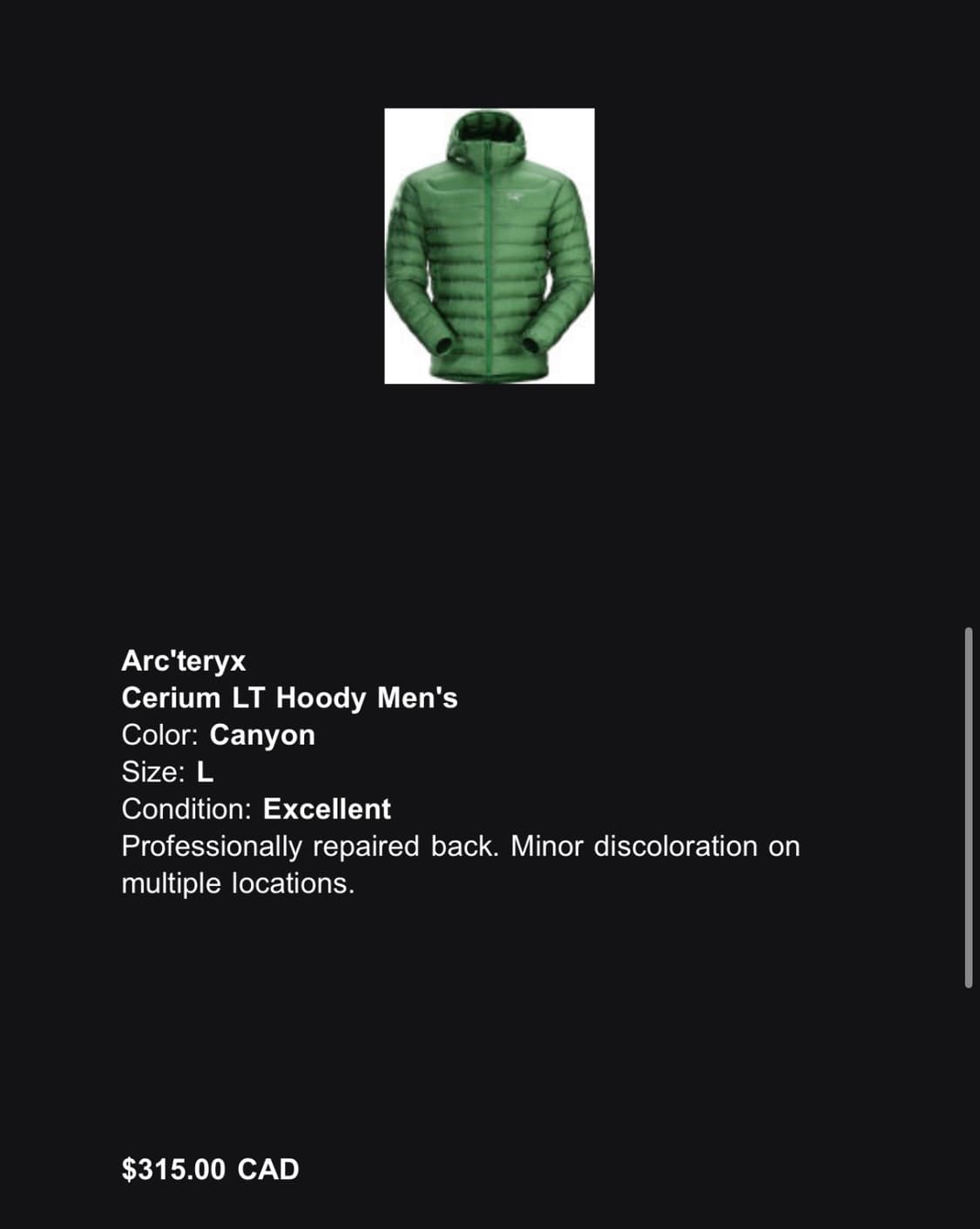 아크테릭스 세륨 lt 후디 (리기어) 상품이미지6