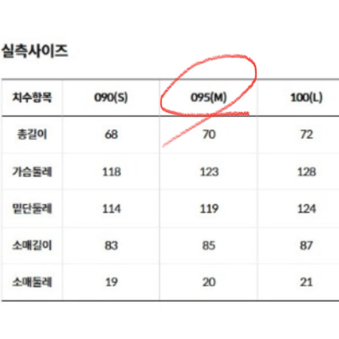 노스페이스 1994 마운틴 자켓 바람막이 95(M) 상품이미지4