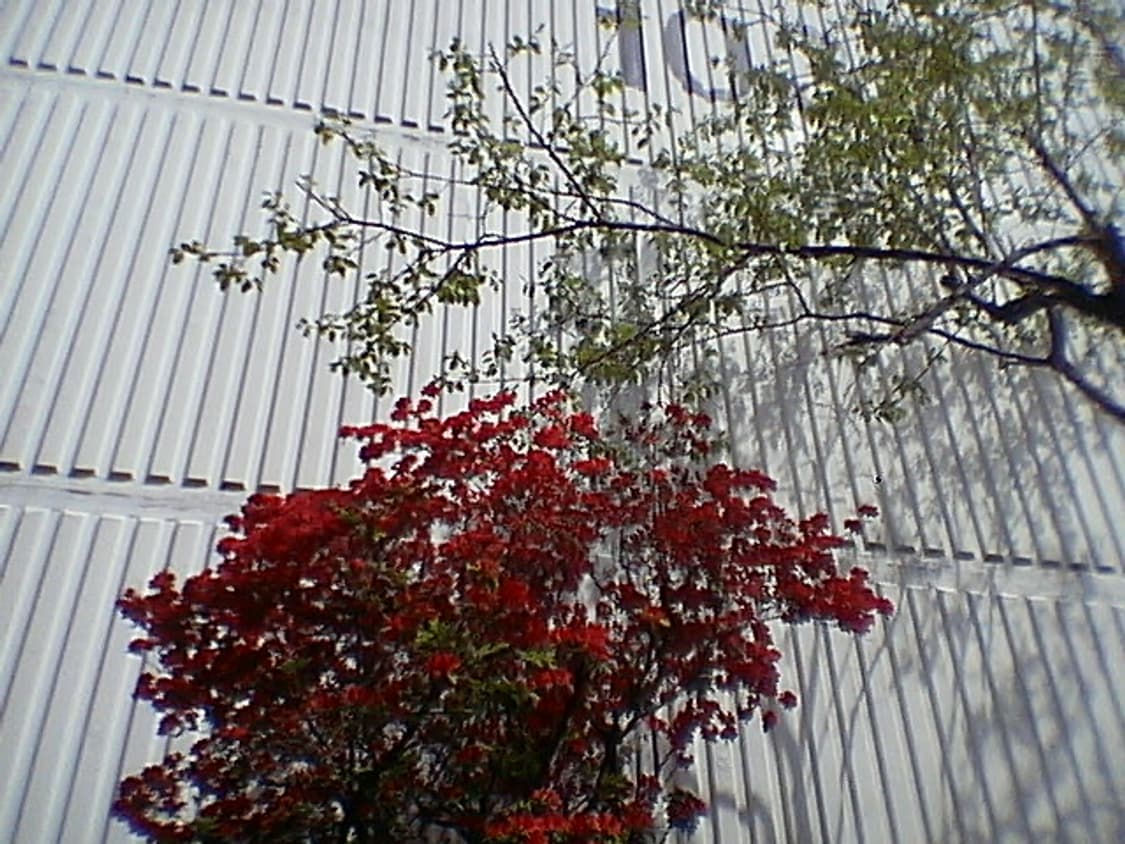 파나소닉 디스냅sv-av20 캠코더디카 상품이미지9