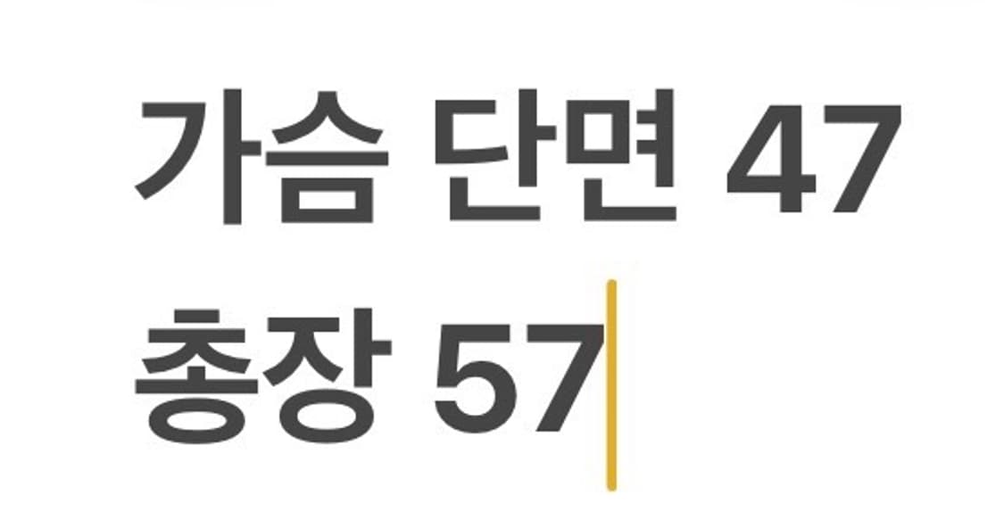 [정품/XS] 노스페이스 패딩 조끼 블랙 b19 상품이미지8