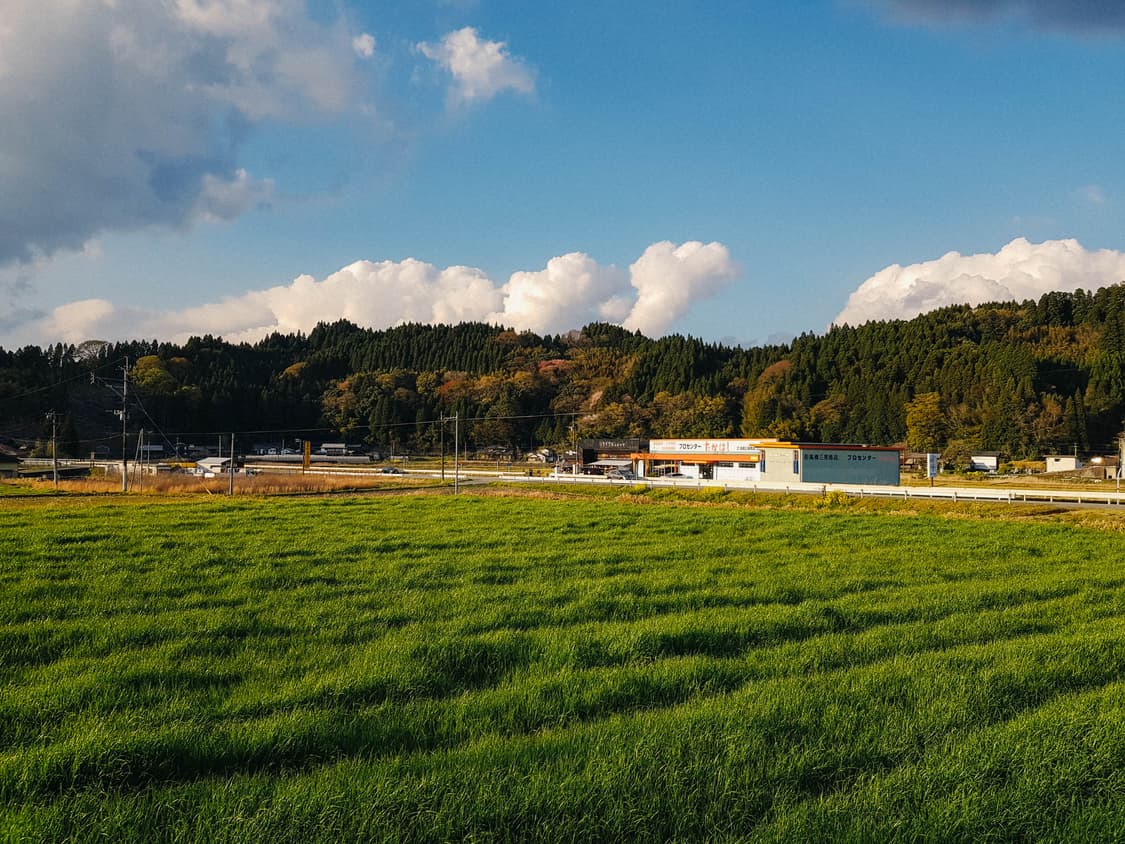 Nikon Coolpix L16 (니콘 쿨픽스 L16) 상품이미지9