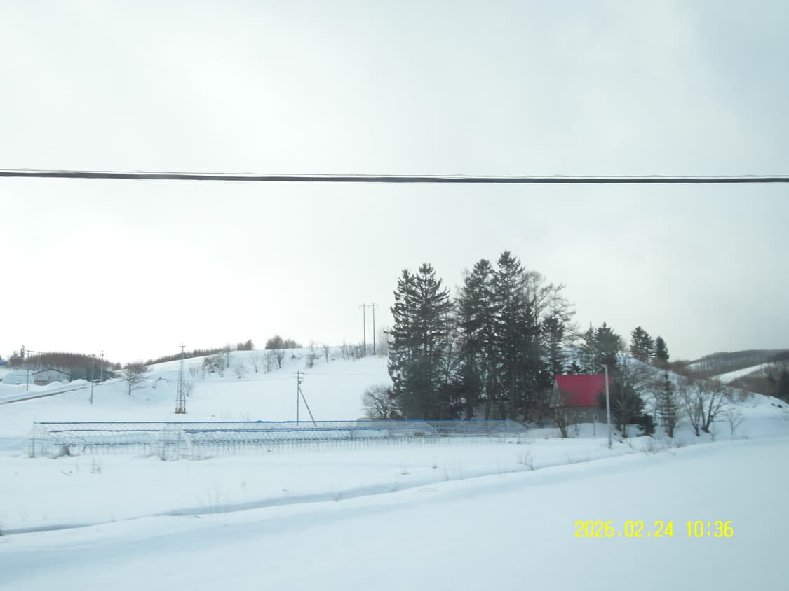 삼성 vluu wb2000 디카 상품이미지7