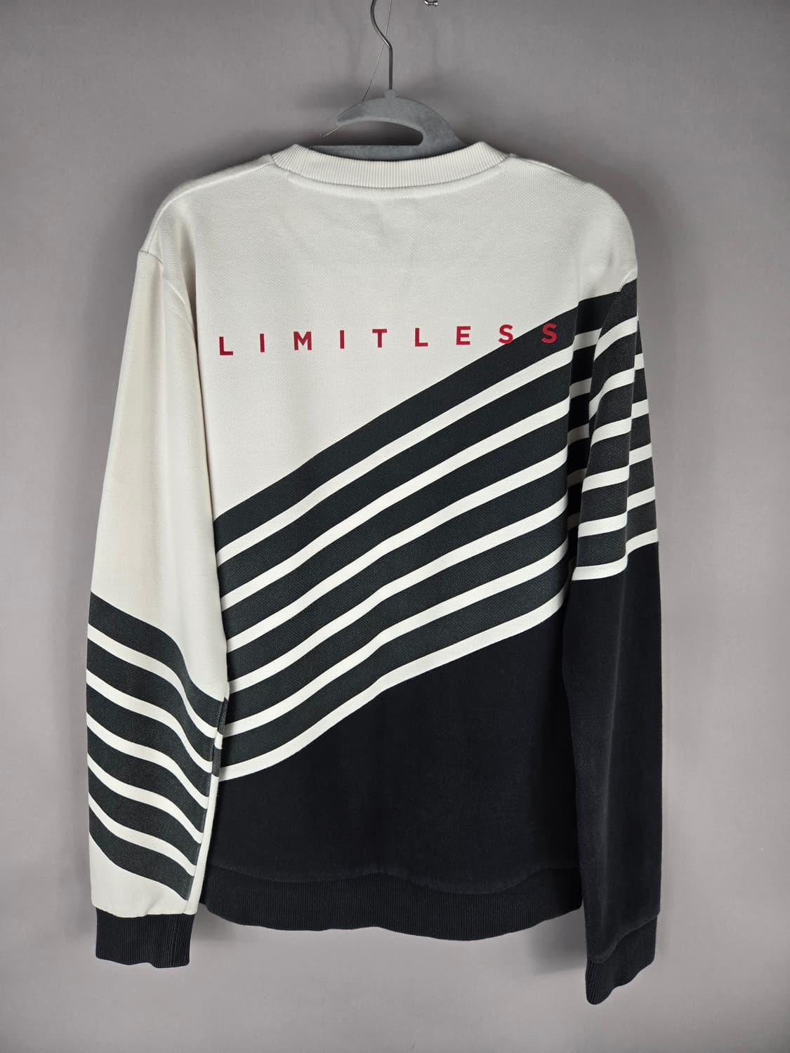 [무료배송]스파이더 100 L 남성 스웨트 맨투맨 긴팔 티셔츠 상품이미지6