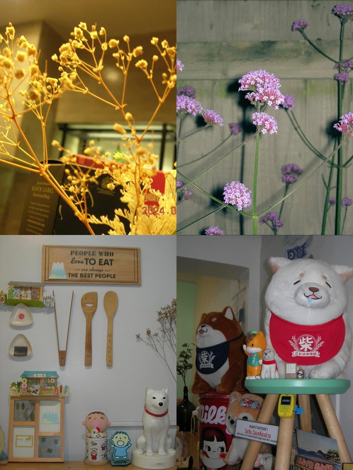 니콘 쿨픽스 5900 실버 ✨ 깨끗한 결과물, 데일리 감성 디카 💕
 상품이미지4