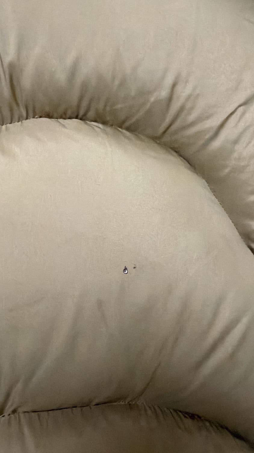 엔타이어스튜디오 베스트 패딩 상품이미지5