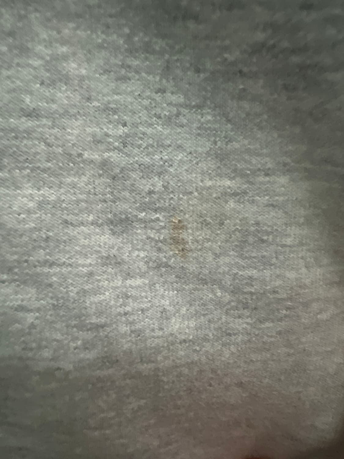 Zara &ader error 그레이 스웻셔츠 상품이미지2