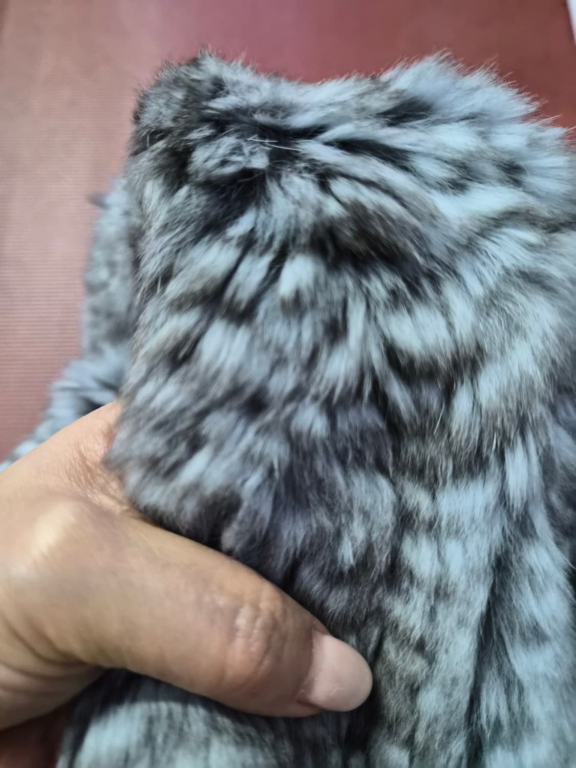 데무 토끼털쟈켓 상품이미지5