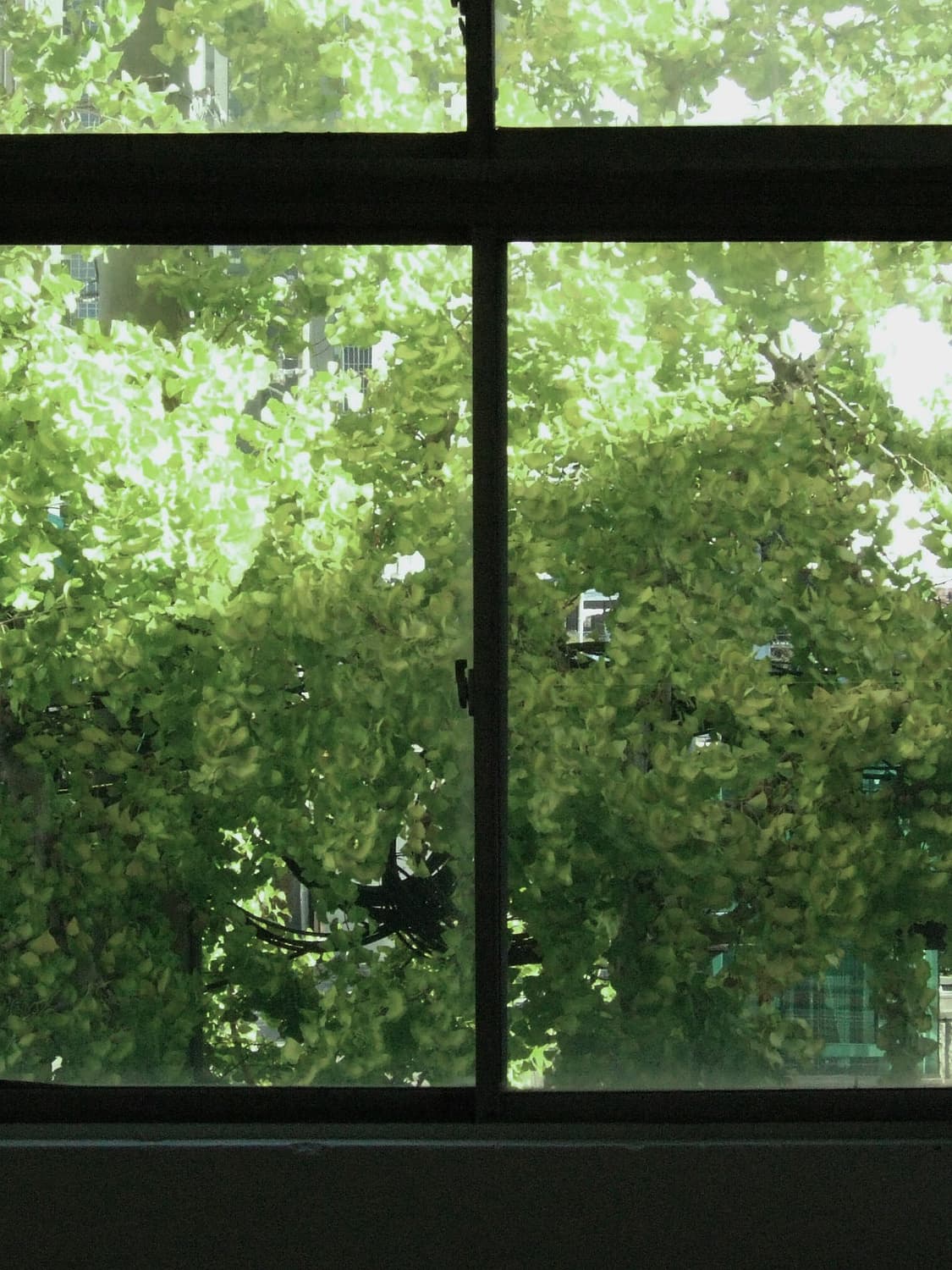 아이폰 se1 실버 128기가  상품이미지4