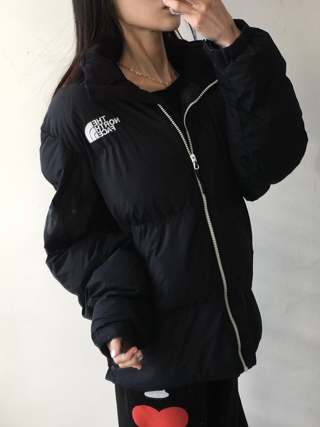 노스페이스 화이트라벨 구스다운 상품이미지2