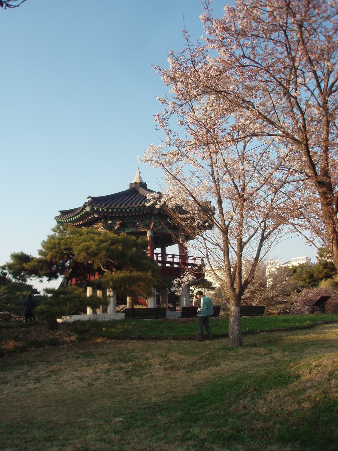 Olympus 올림푸스 뮤 750 (작례O) 상품이미지7