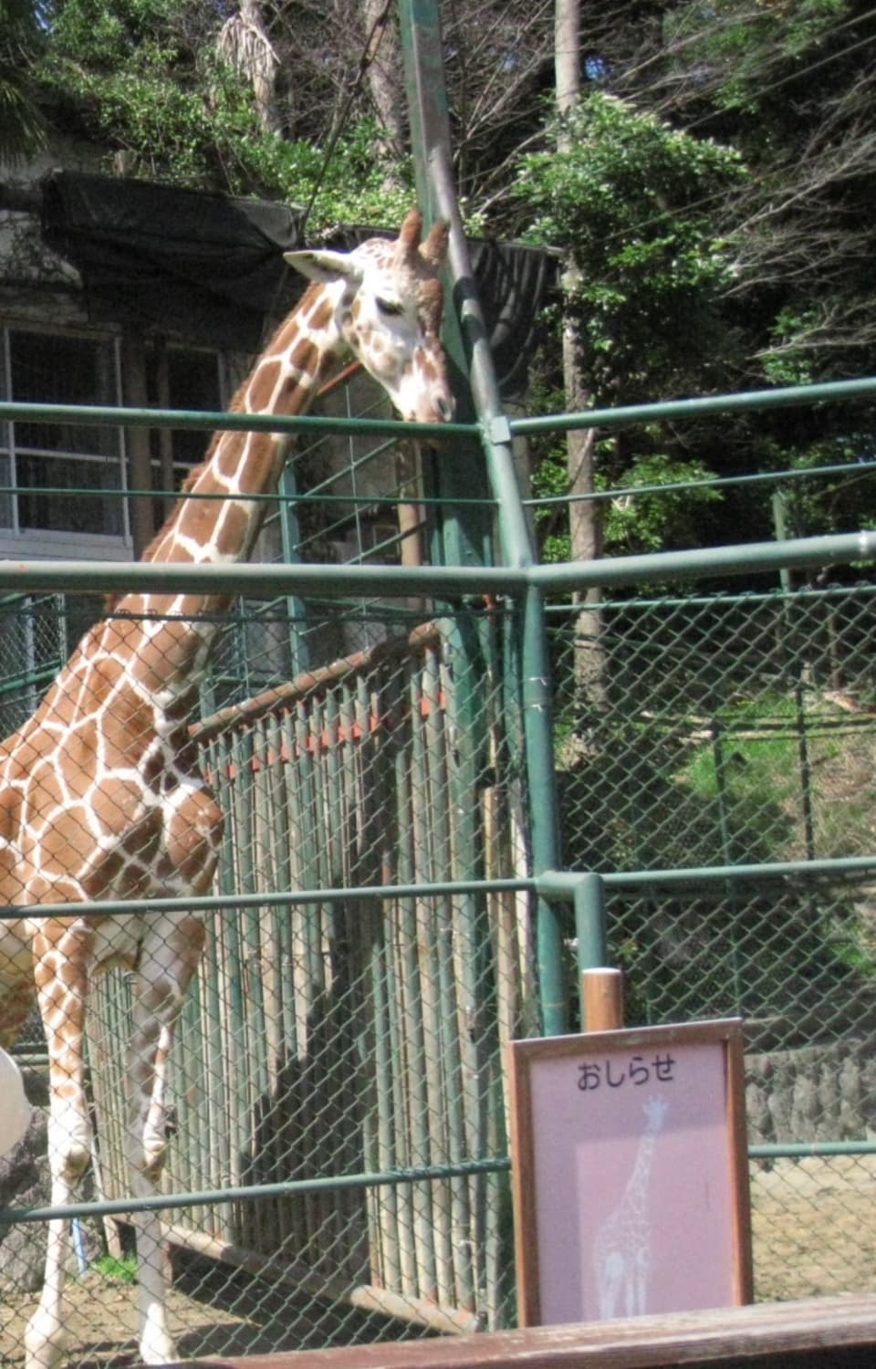 Canon IXUS 860 캐논 익서스860 한국어 상품이미지10