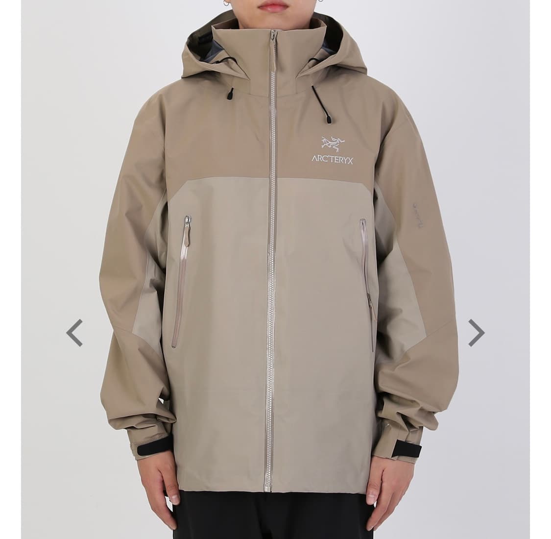 아크테릭스 베타(BETA) AR smoke bluff 상품이미지1