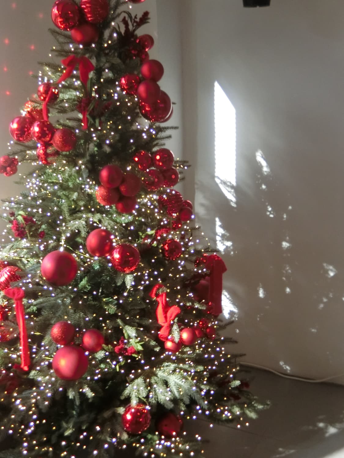 희귀)작례ㅇ)민트급) 카시오 엑슬림 zr60 exilim 민트 상품이미지10