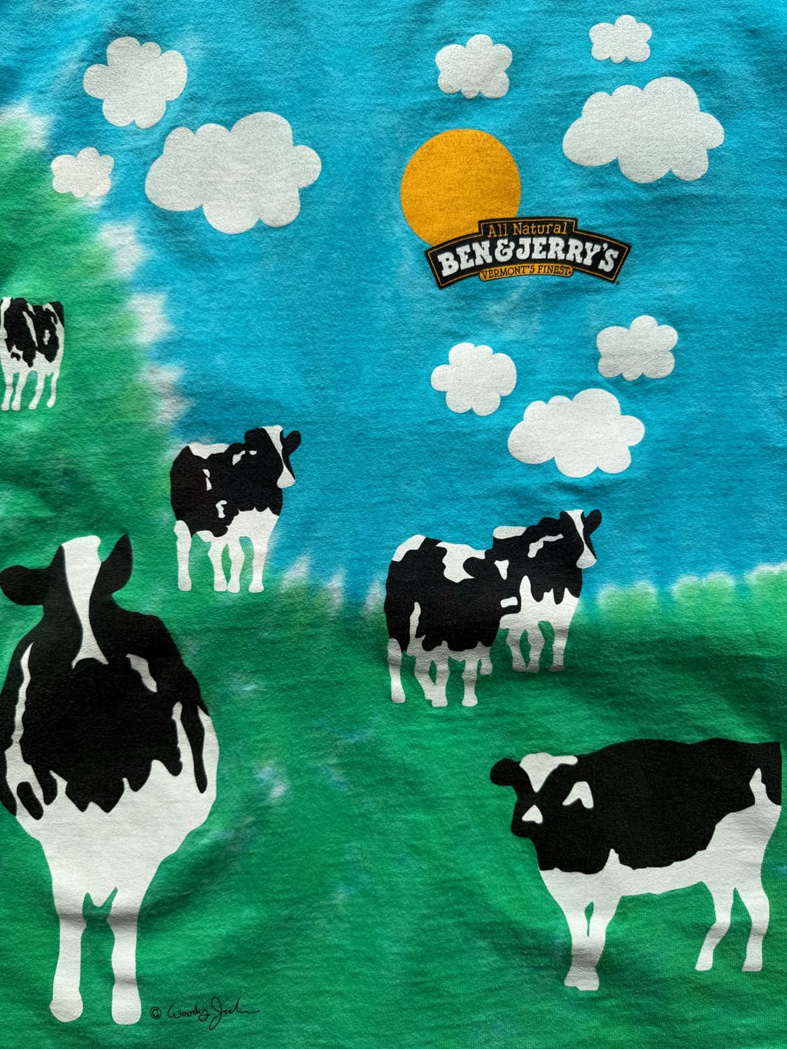 90s 벤앤제리스 타이다이 티셔츠 상품이미지4