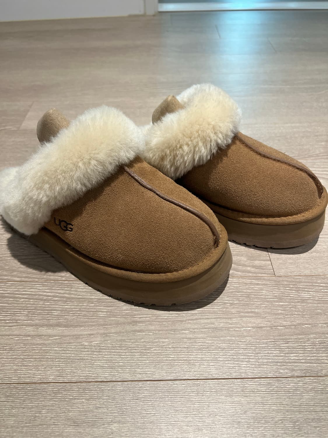 어그 디스케트 240 us7 상품이미지1