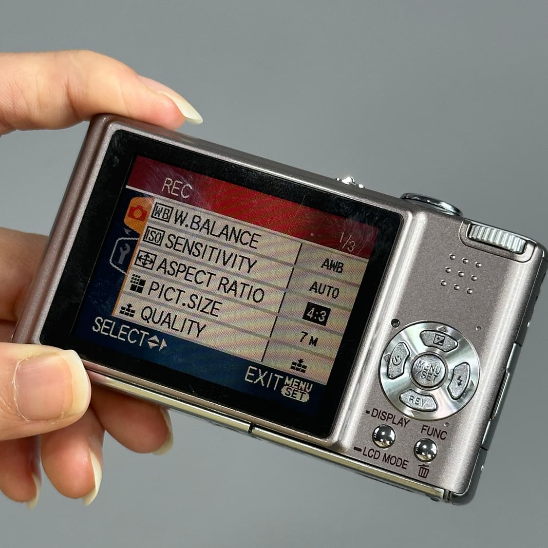 파나소닉 루믹스 DMC‑FX30 라이트 핑크 브라운 상품이미지4