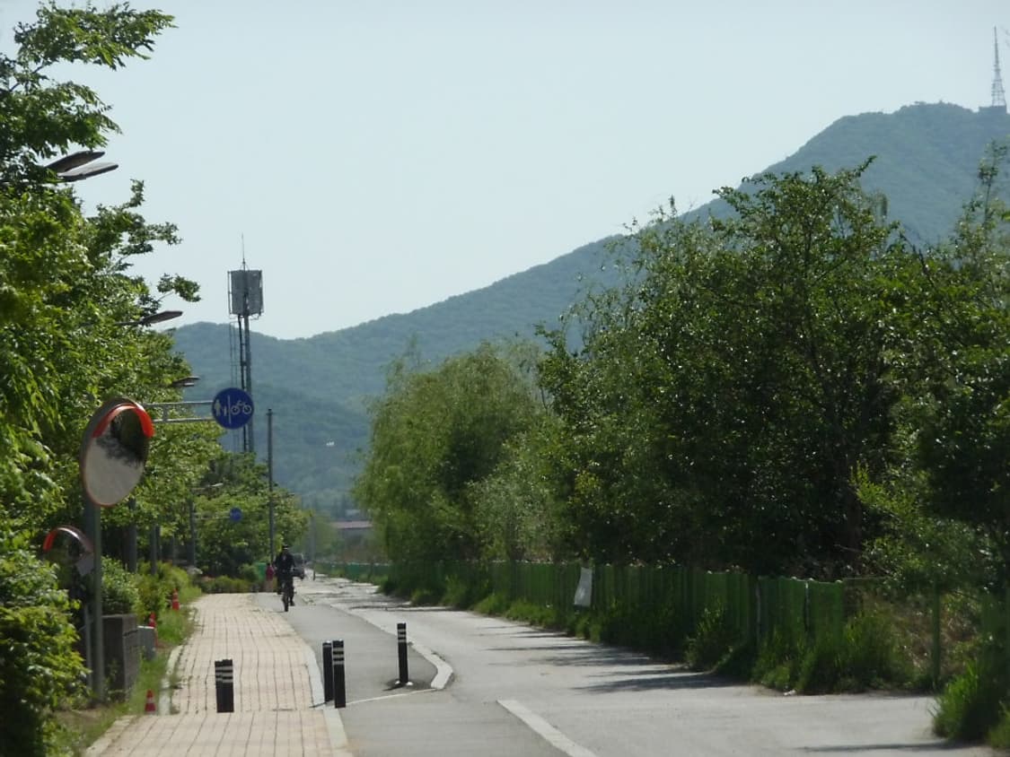 상태굿! 파나소닉 루믹스 DMC-TZ5 빈티지 디카 상품이미지9