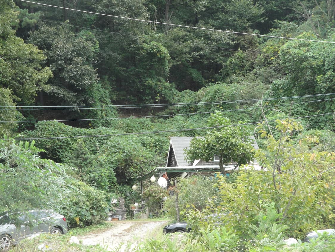 디지털 카메라 일괄 상품이미지6