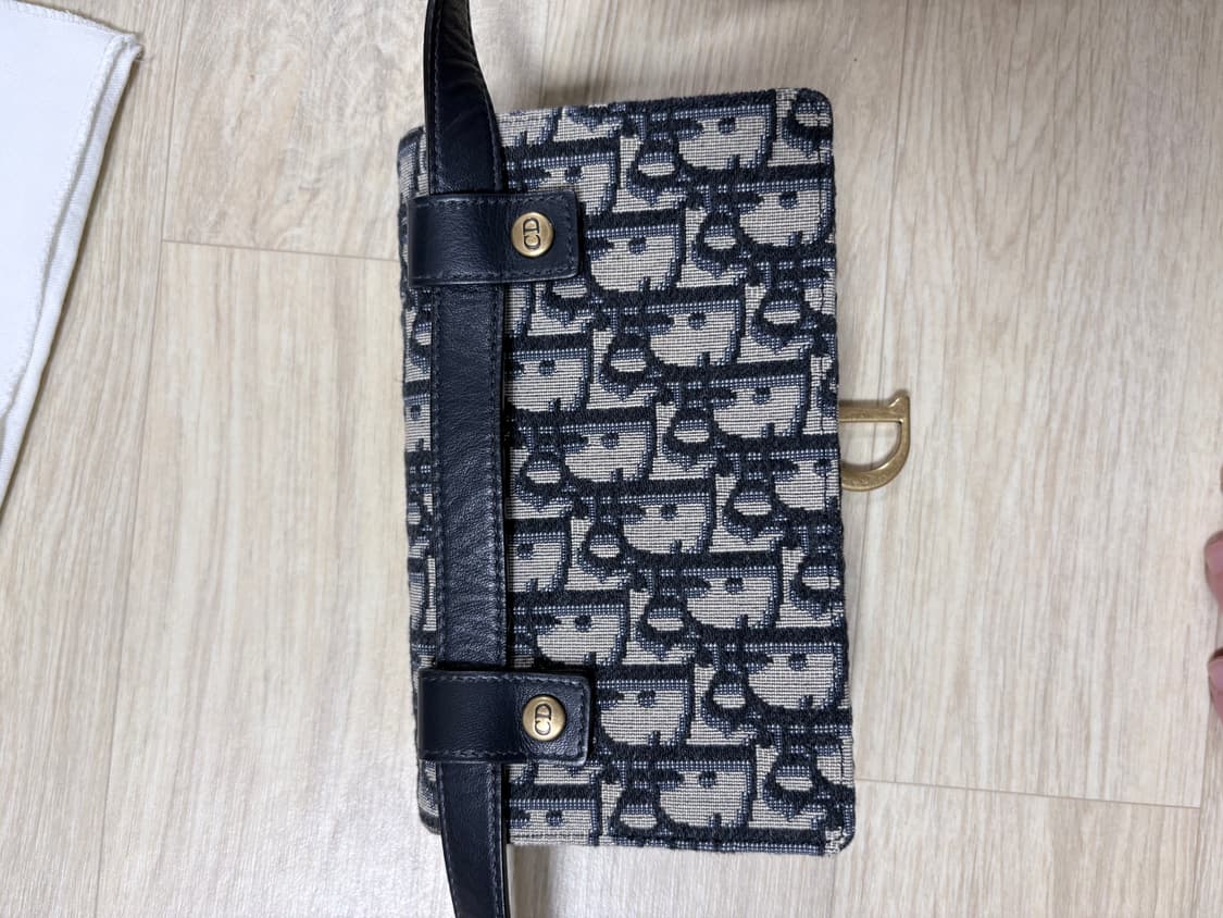 디올 오블리크 벨트백 상품이미지6