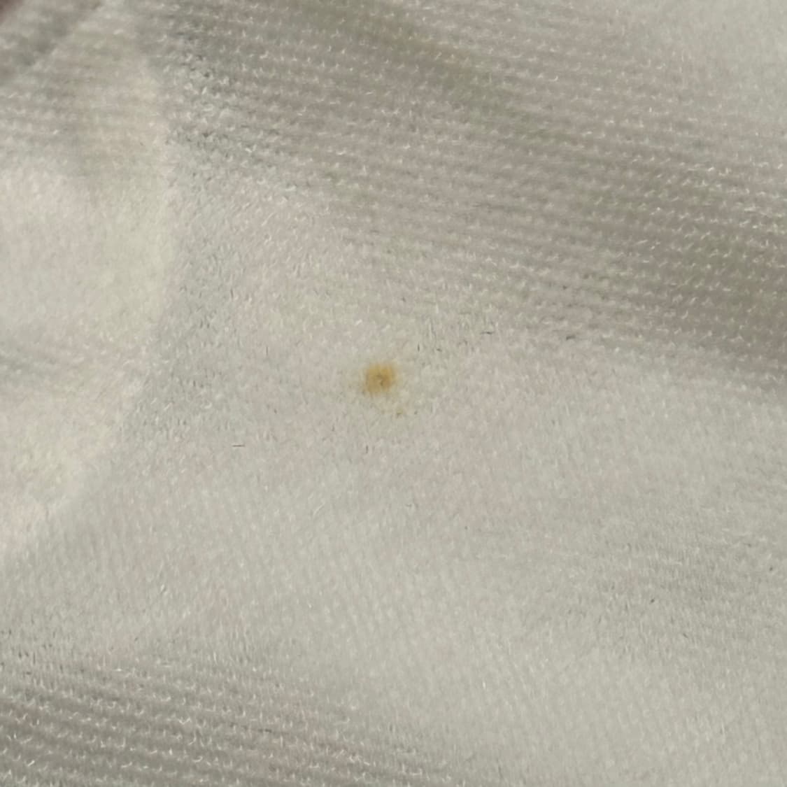 폴로 랄프로렌 치프키프 화이트 레드 포인트 빅포니 카라 반팔 티 상품이미지10