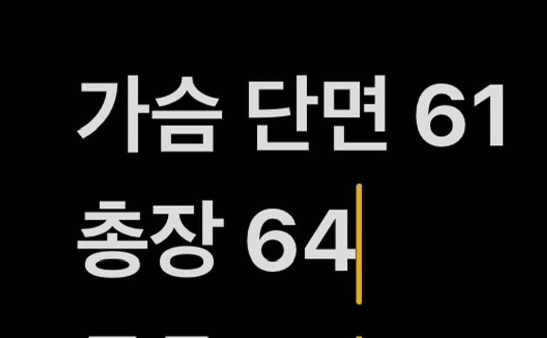 [ 정품/S ] 나이키 SB 아노락 자켓 b14 상품이미지8