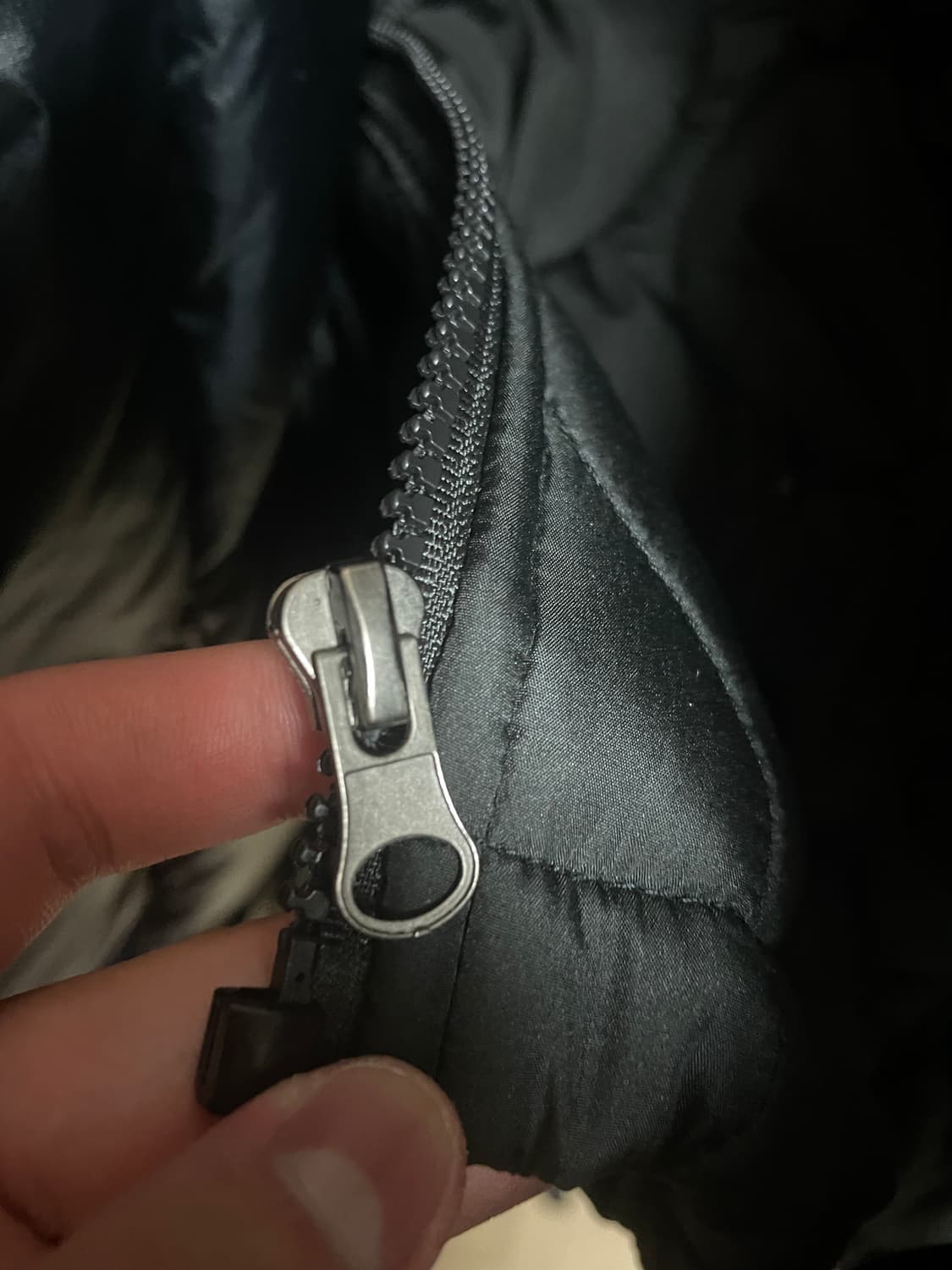 폴로 랄프로렌 한정판 경량패딩 L 상품이미지7