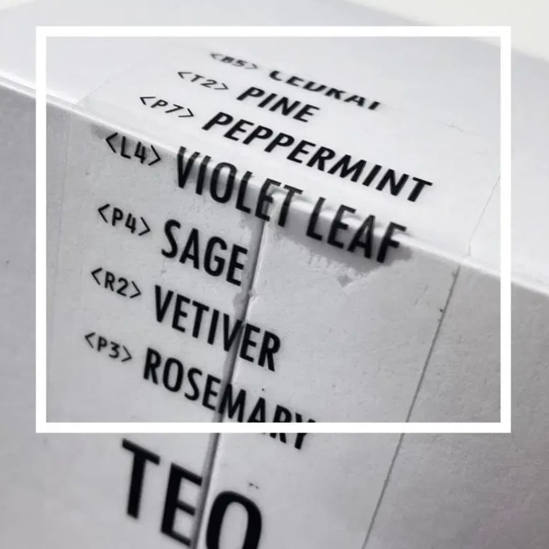 [정품] FRA422 프라포투투 퍼퓸 테오 향수 50ml(미개봉) 상품이미지10