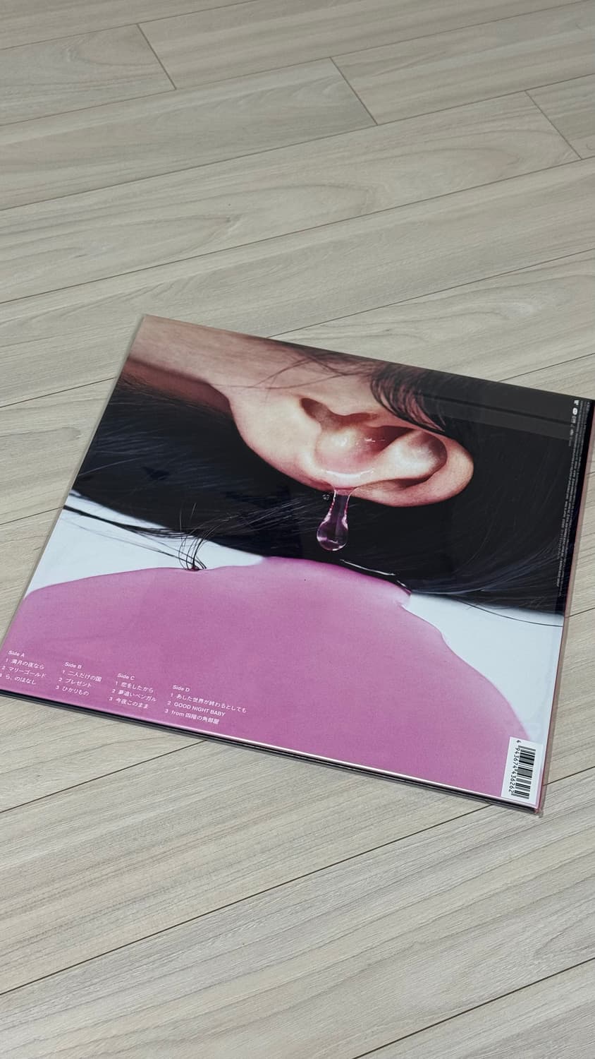 아이묭 10주년 기념 2집 - 순간적 식스센스 LP 상품이미지2