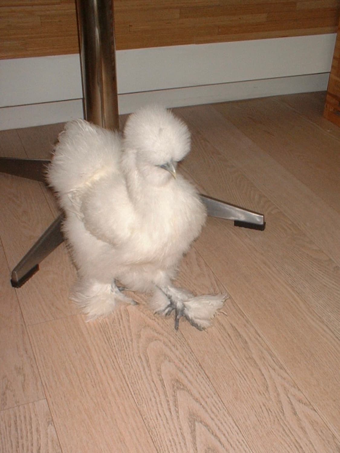 셔터만 누르세요! 후지필름 파인픽스 a202 상품이미지7