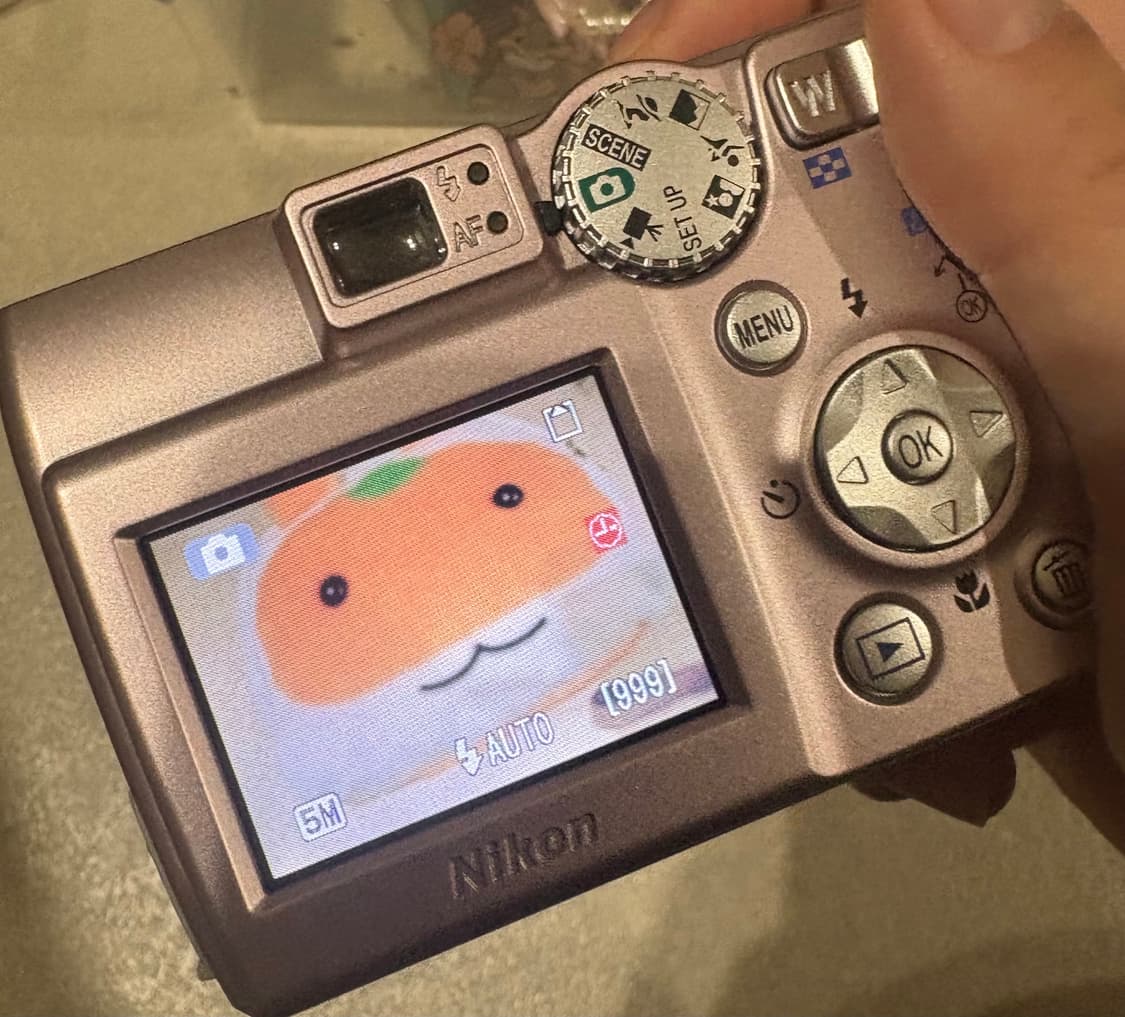 니콘 쿨픽스 5600 상품이미지2