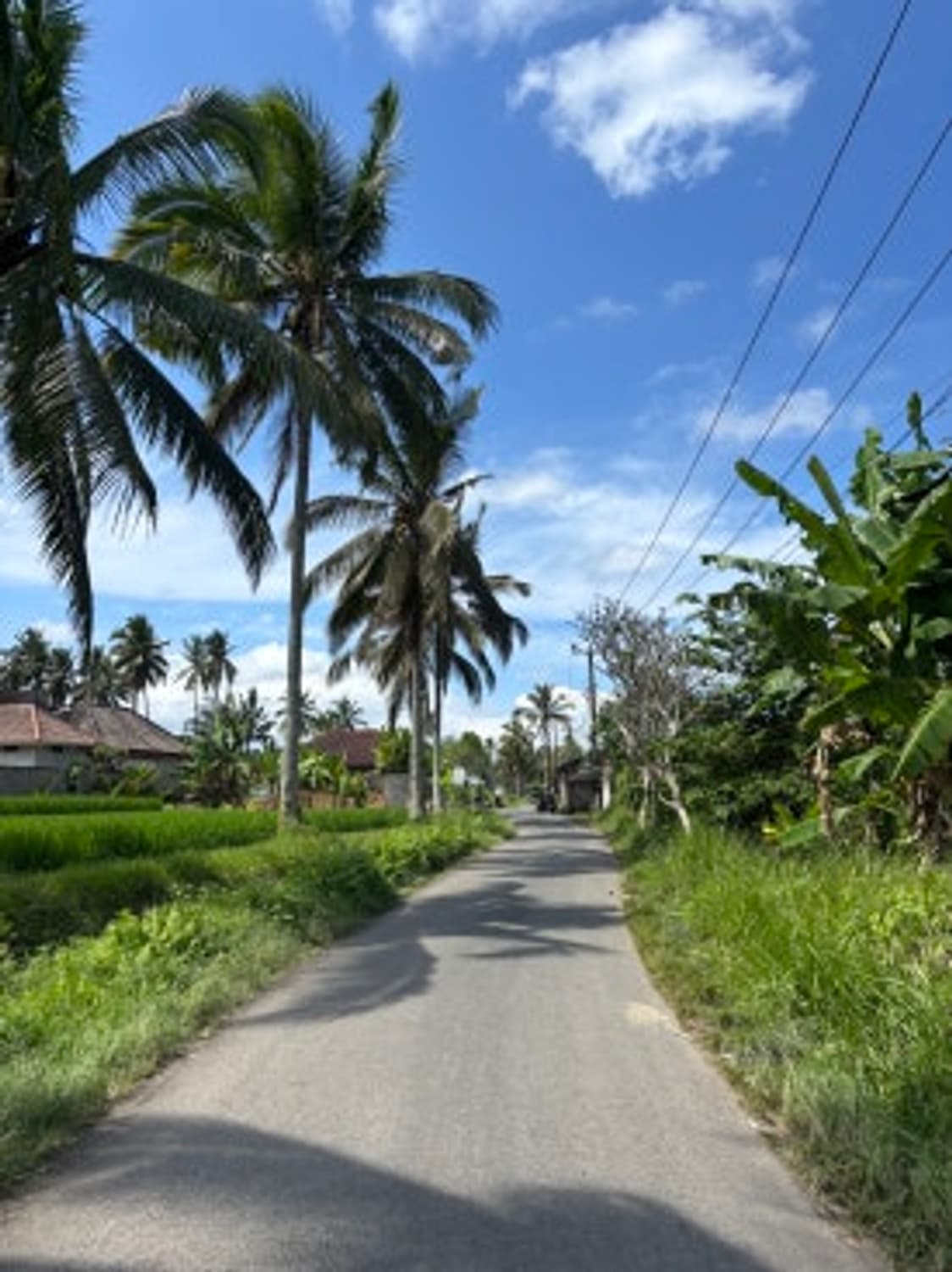 삼성 VLUU NV100 HD 디카 (빈티지 카메라) 상품이미지8